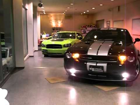 動画　③　(^○^)