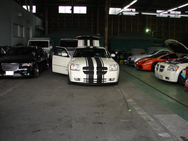 DSC00494