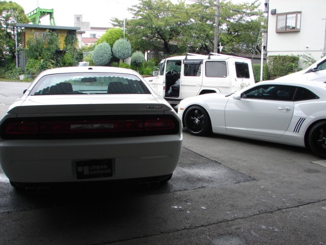 DSC00710