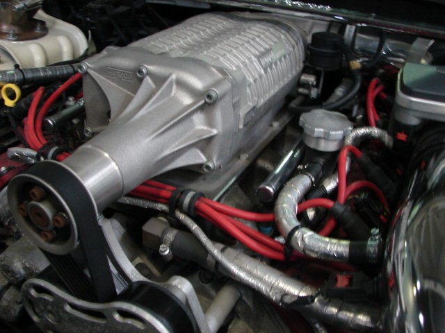 DSC01003