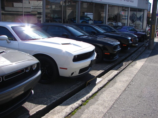 DSC07139