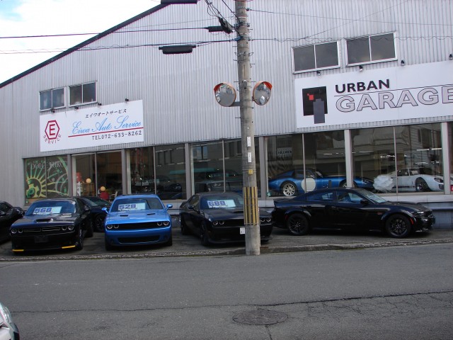 DSC08176