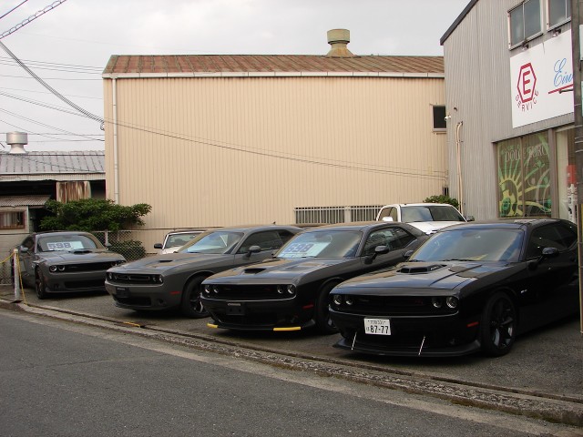 DSC09481
